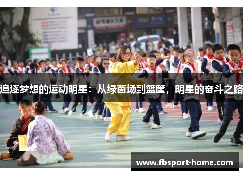 追逐梦想的运动明星：从绿茵场到篮筐，明星的奋斗之路
